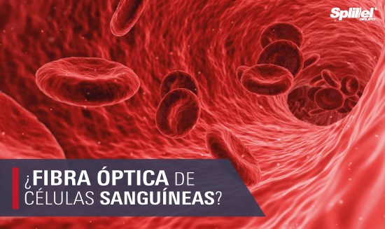 ¿Fibra óptica de células sanguíneas?